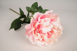 x767jp Pink and cream artificial peony H71cm