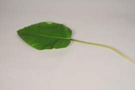 x771di Green artificial philodendron H80cm