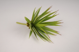 x776jp Green artificial agave H20cm