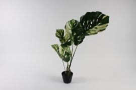 x778di Philodendron artificiel vert et blanc H80cm