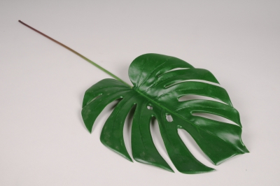 x783jp Green artificial monstera H62cm