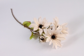 x790di Cream artificial echinacea H74cm