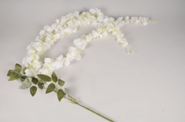 x801jp Glycine artificielle blanche L152cm