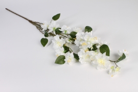 x802di Fuchsia artificiel blanc H120cm