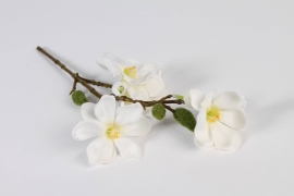 x803di White artificial magnolia H40cm