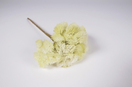 x804mi Cream artificial sedum H30cm