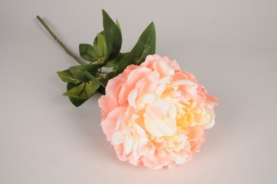 x822jp Pivoine artificielle p�che H72cm