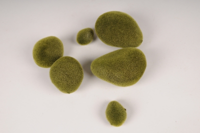 x832nn Sachet de 6 galets de mousse artificielle verte