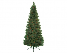 X834KI Norwich pine tree with pine cones D89cm H180cm