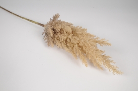 x843jp Champagne artificial pampas grass H92cm