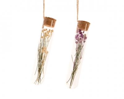 X846KI Tube en verre avec fleurs s�ch�es assorti D3cm H15cm