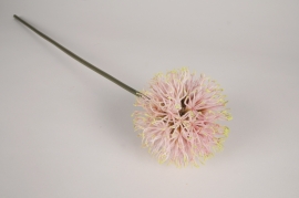 x847nn Allium artificiel rose H70cm 