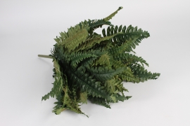x857jp Green artificial fern H60cm