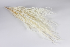 x942mi White dried anao palm H104cm