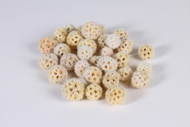 x962mi Natural dried scabiosa 300g