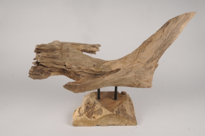 x962wg Root on foot teak 55x26cm H36.5cm 