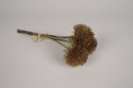 xa43nn Brown artificial thistle H35cm