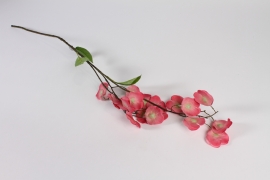 xa99nn Pink artificial lunaria annua H92cm
