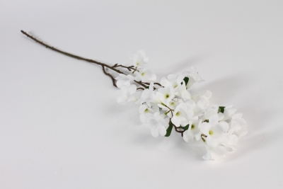 xb00nn Belladone artificielle blanche H83cm