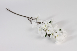 xb00nn White artificial atropa belladonna H83cm