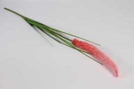xb08nn Pink artificial grass H110cm