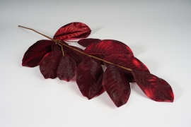 xx17el Dark red velvet artificial corylus H95cm