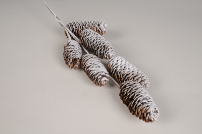xx22ka Pommes de pin enneig�es H65cm