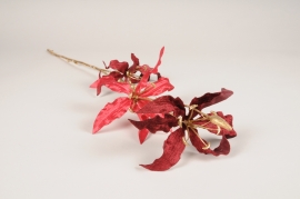 xx28ka Dark red artificial gloriosa H71cm