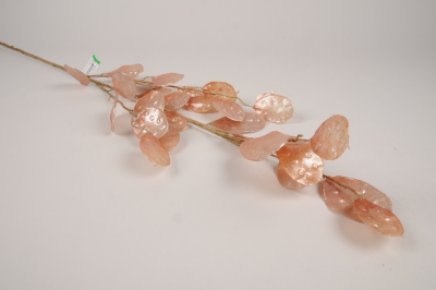xx32ee Pink artificial money plant H110cm