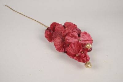 xx35ka Phalaenopsis artificiel bordeaux H70cm