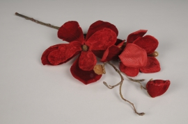 xx52nn Magnolia artificiel velours rouge H47cm