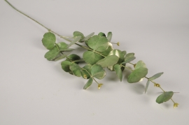 xx64ee Green artificial eucalyptus H86cm