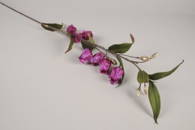 xx69ee Sandersonia artificiel violet et or H95cm