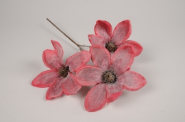xy05di Dark pink artificial frosted magnolia H48cm