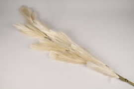 xy39di Graminée artificielle crème H118cm