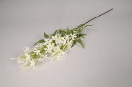 xy58di White artificial jasmine H78cm