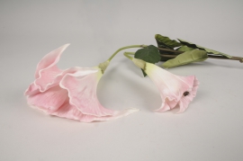 xy71di Light pink artificial datura H98cm