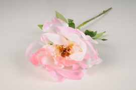 xy83di Pink and white artificial peony H58cm
