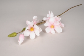 xz36di Magnolia artificiel rose clair H80cm