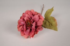 xz53di Dark pink artificial dahlia H43cm