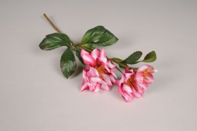 xz65di Hell�bore artificielle rose et blanche H38cm