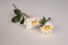 xz66di Hellébore artificielle crème H38cm