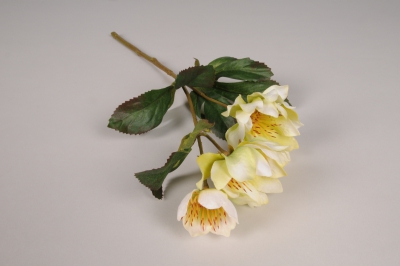 xz67di Hell�bore artificielle blanche et verte H38cm
