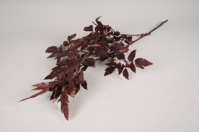 xz70di Physocarpus artificiel bordeaux H77cm