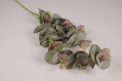 xz74di Eucalyptus artificiel vert H98cm