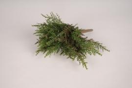 xz77di Green artificial conifer H26cm