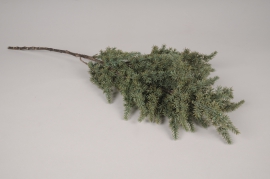 xz97di Juniperus artificiel vert H66cm