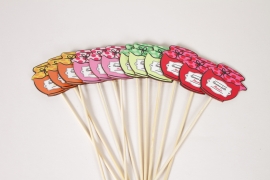 Y8-000193 Paquet de 12 pics confiture en bois assortis D7,5cm H27cm