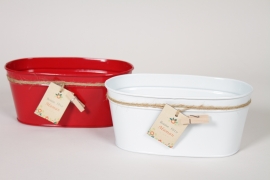 Y8-000197 Red or white zinc planter 20x11cm H9cm