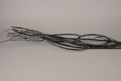 zd01sx Black Mitsumata branches H120cm